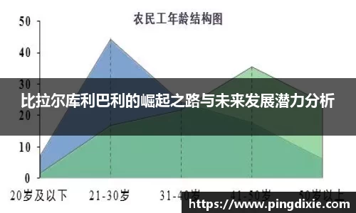 比拉尔库利巴利的崛起之路与未来发展潜力分析